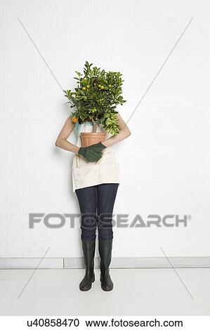 Indoor Gardener View Large Photo Image Stock Image - Indoor Gardener. Fotosearch