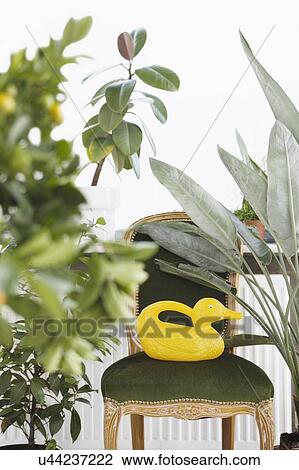 Stock Image - Indoor Gardener. Fotosearch
