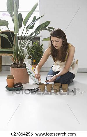 Stock Photography - Indoor Gardener. Fotosearch