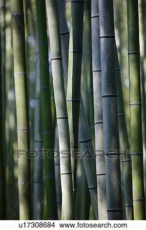 Japan View Large Photo Image Picture - Japan. Fotosearch