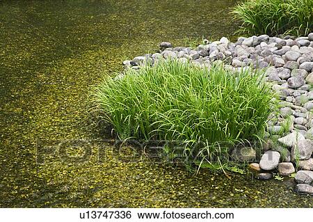 Stock Photograph - Japan. Fotosearch