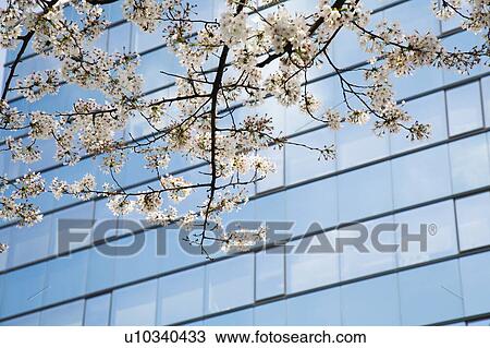 Japanese Diary View Large Photo Image Stock Image - Japanese Diary. Fotosearch