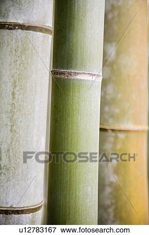 Japanese Diary View Large Photo Image Stock Photo - Japanese Diary. Fotosearch