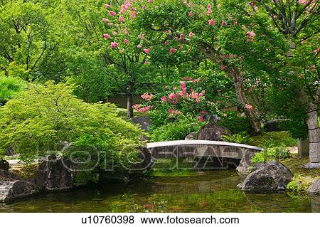 Stock Photo - Japanese garden. Fotosearch