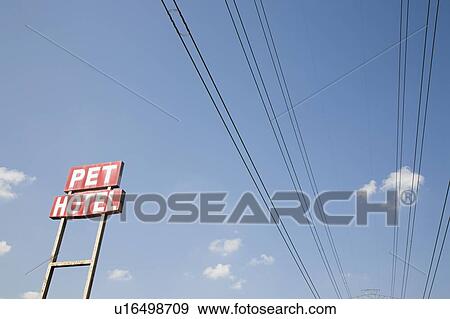 Lifestyle mix 2 View Large Photo Image Stock Photo - Lifestyle mix 2. Fotosearch