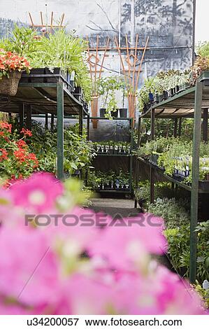 Stock Photo - Lifestyle mix 2. Fotosearch