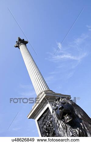Stock Photo - Lion Statue and Nelson's column in Trafalgar Square, London. Fotosearch