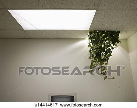 Stock Photo - Liquidation. Fotosearch