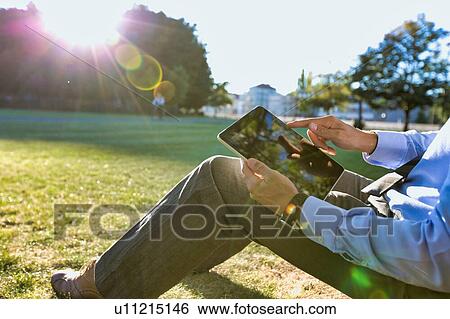 Mature businessman sitting under the tree while using digital tablet View Large Photo Image Stock Photograph - Mature businessman sitting under the tree while using digital tablet. Fotosearch