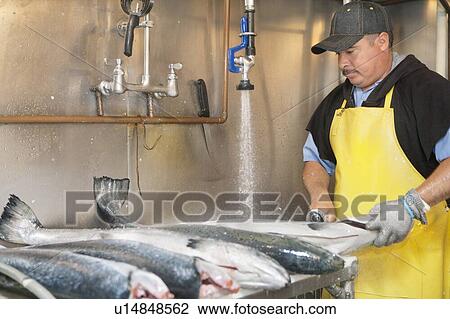 Stock Image - Mature fishmonger washing fish under tap water. Fotosearch