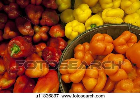 Stock Photo - Multicolored bell peppers on display in market. Fotosearch