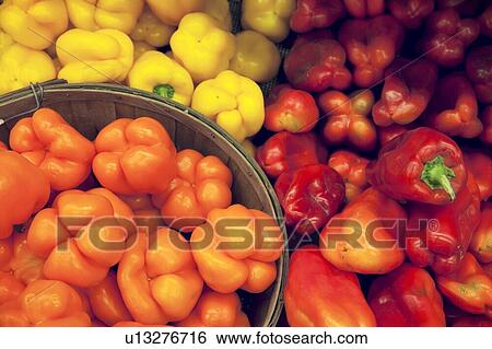 Stock Photograph - Multicolored bell peppers on display in market. Fotosearch