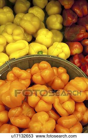 Stock Image - Multicolored capsicum on display in market. Fotosearch