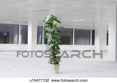 Stock Image - New Business. Fotosearch
