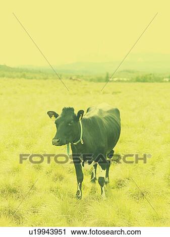 Stock Image - Norwegain journey 2. Fotosearch
