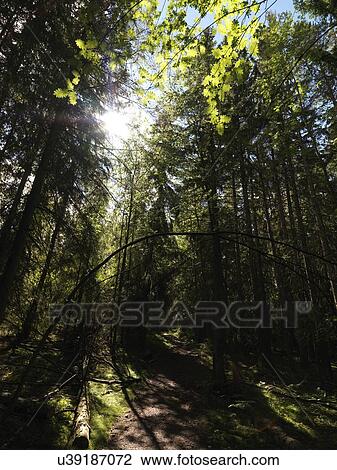 Stock Image - Norwegain journey 2. Fotosearch