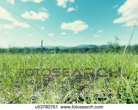 Stock Image - Norwegain journey 2. Fotosearch