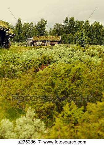 Stock Photo - Norwegain journey 2. Fotosearch