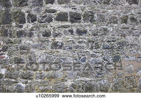 Stock Photo - Old stone wall with some moss. Fotosearch