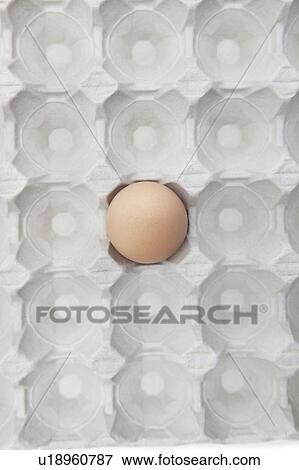 Stock Photo - One brown egg in an empty carton. Fotosearch