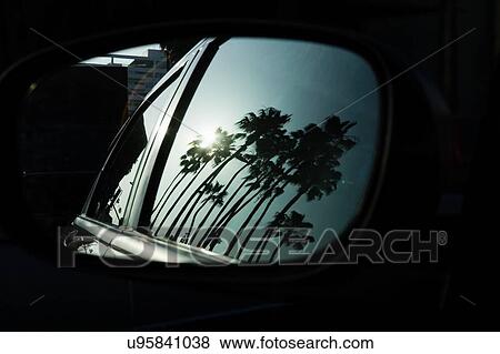 Stock Photo - Palm trees reflecting in car mirror. Fotosearch