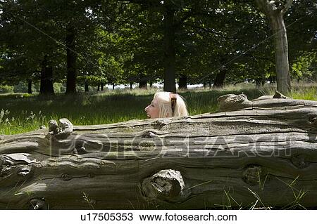 Park Business View Large Photo Image Stock Image - Park Business. Fotosearch