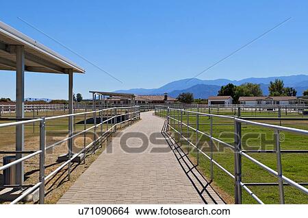 Path between paddocks on a ranch View Large Photo Image Picture - Path between paddocks on a ranch. Fotosearch