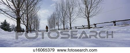 Stock Photo - Person walking on snow covered land. Fotosearch