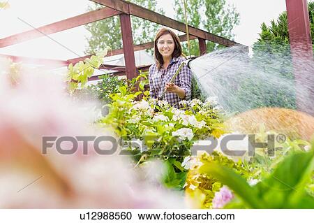 Photo of female gardener watering plants in garden shop View Large Photo Image Stock Image - Photo of female gardener watering plants in garden shop. Fotosearch