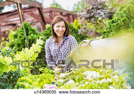 Stock Photography - Photo of female gardener watering plants in garden shop. Fotosearch