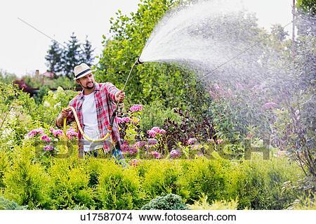 Picture - Photo of male gardener watering plants in garden shop. Fotosearch