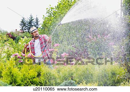 Photo of male gardener watering plants in garden shop View Large Photo Image Stock Photography - Photo of male gardener watering plants in garden shop. Fotosearch