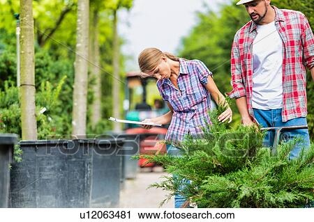 Stock Image - Photo of mature woman examining plant while writing report on clipboard with coworker in garden shop. Fotosearch