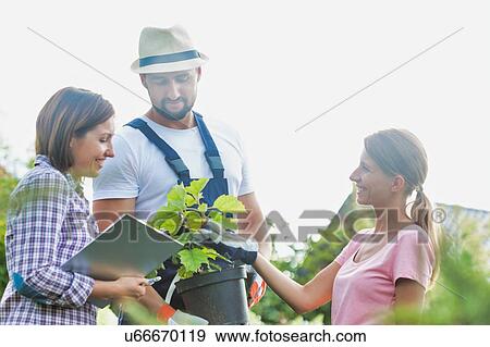 Stock Photo - Photo of shop owner and garden staffs standing in the garden. Fotosearch