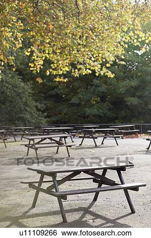 Stock Photograph - Picnic tables in park. Fotosearch
