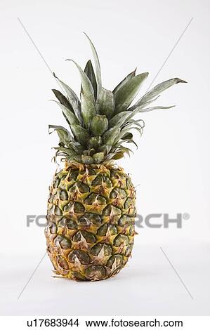 Pineapple over white background View Large Photo Image Picture - Pineapple over white background. Fotosearch