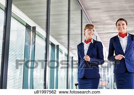 Portrait of attractive flight attendants walking with their suitcase in airport View Large Photo Image Stock Image - Portrait of attractive flight attendants walking with their suitcase in airport. Fotosearch