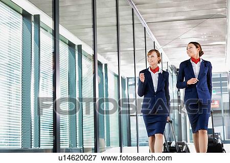 Stock Photo - Portrait of attractive flight attendants walking with their suitcase in airport. Fotosearch
