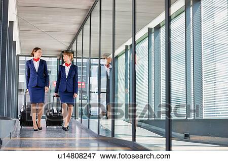 Stock Photo - Portrait of attractive flight attendants walking with their suitcase in airport. Fotosearch