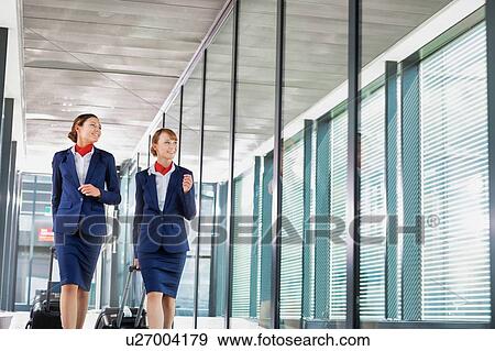 Stock Photo - Portrait of attractive flight attendants walking with their suitcase in airport. Fotosearch