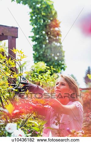 Stock Image - Portrait of beautiful gardener cutting tree branches in the garden. Fotosearch