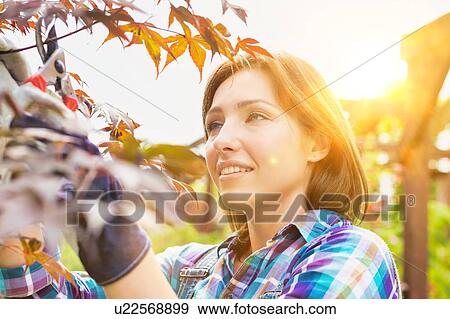 Stock Photo - Portrait of beautiful gardener cutting tree branches in the garden. Fotosearch