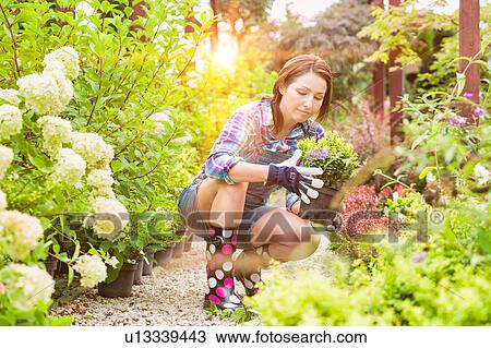Stock Image - Portrait of beautiful mature gardener arranging flowers on pot in shop. Fotosearch