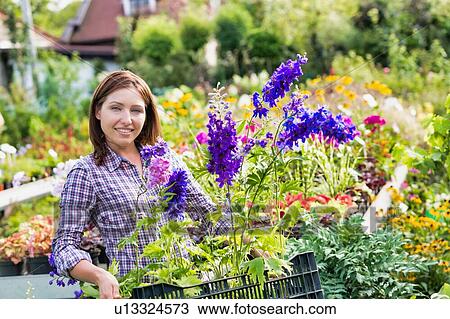 Portrait of female gardener carrying flowers on crate in shop View Large Photo Image Stock Image - Portrait of female gardener carrying flowers on crate in shop. Fotosearch