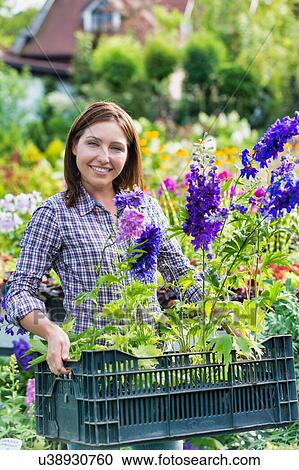 Stock Image - Portrait of female gardener carrying flowers on crate in shop. Fotosearch
