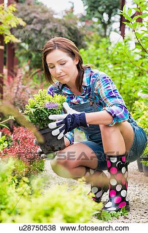 Stock Photo - Portrait of female gardener examining plants on pot . Fotosearch