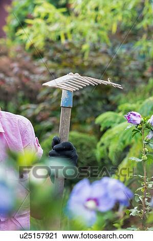 Stock Image - Portrait of gardener holding fork rake . Fotosearch