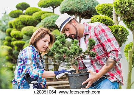 Picture - Portrait of man carrying pot while beautiful gardener checking plants in the garden. Fotosearch