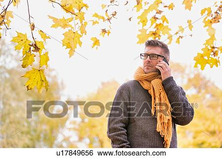 Stock Photograph - Portrait of mature attractive man talking on smartphone under maple tree in park. Fotosearch