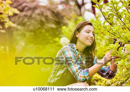 Portrait of mature beautiful gardener examining plants View Large Photo Image Stock Image - Portrait of mature beautiful gardener examining plants. Fotosearch
